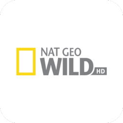 Nat Geo Wild